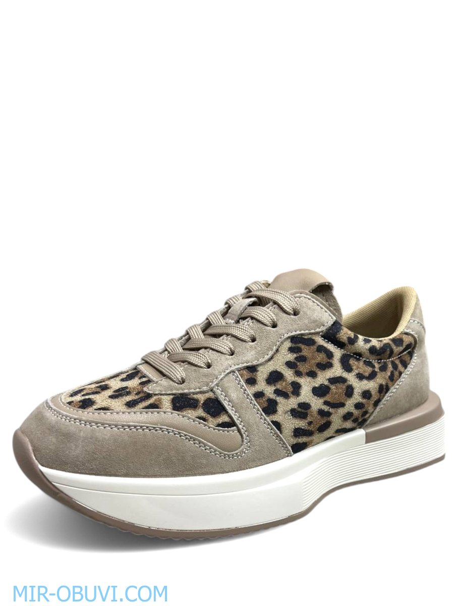 Ƴ���� ���������� ������� Wollen. ��� 3.