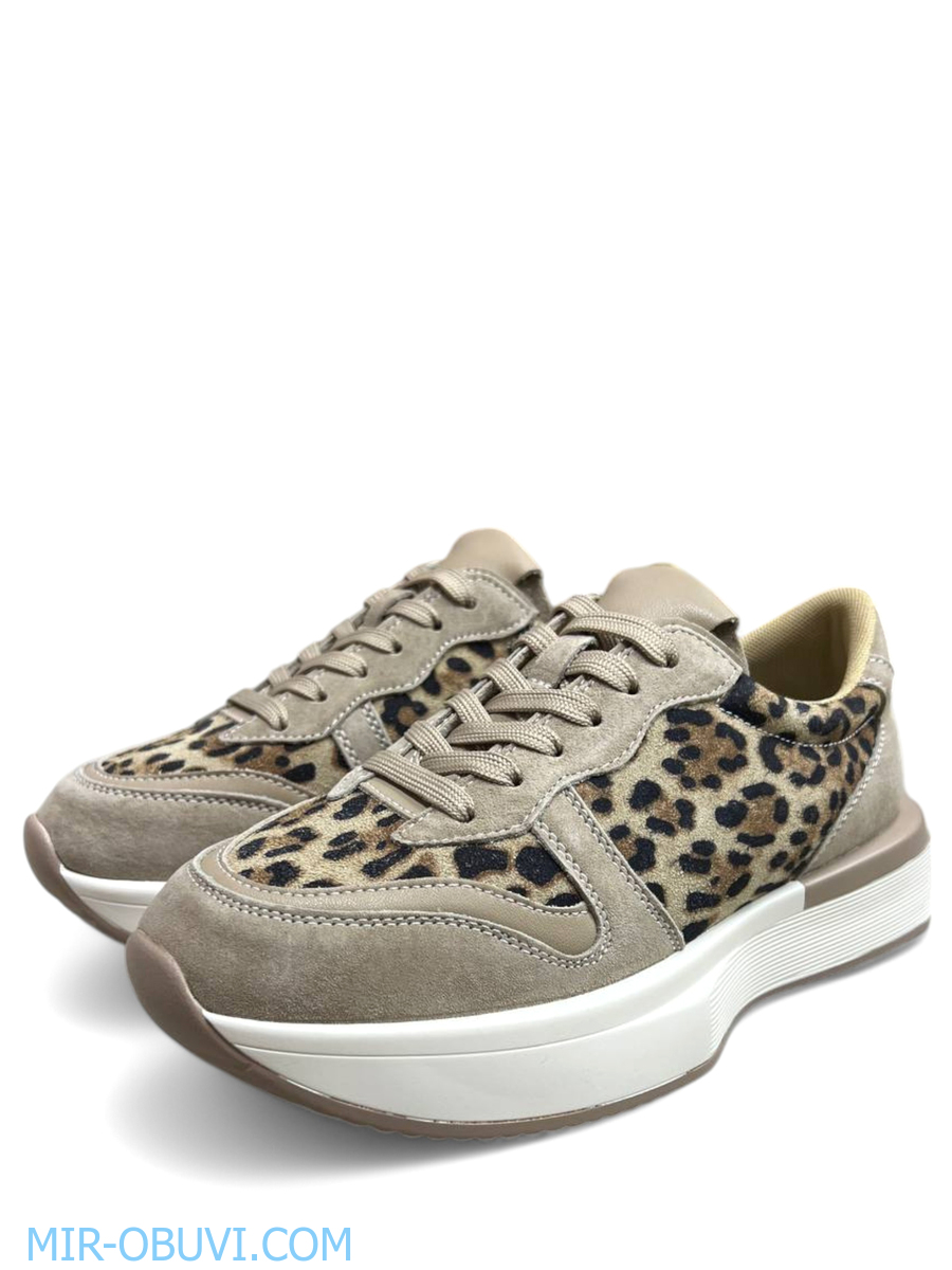 Ƴ���� ���������� ������� Wollen. ��� 4.