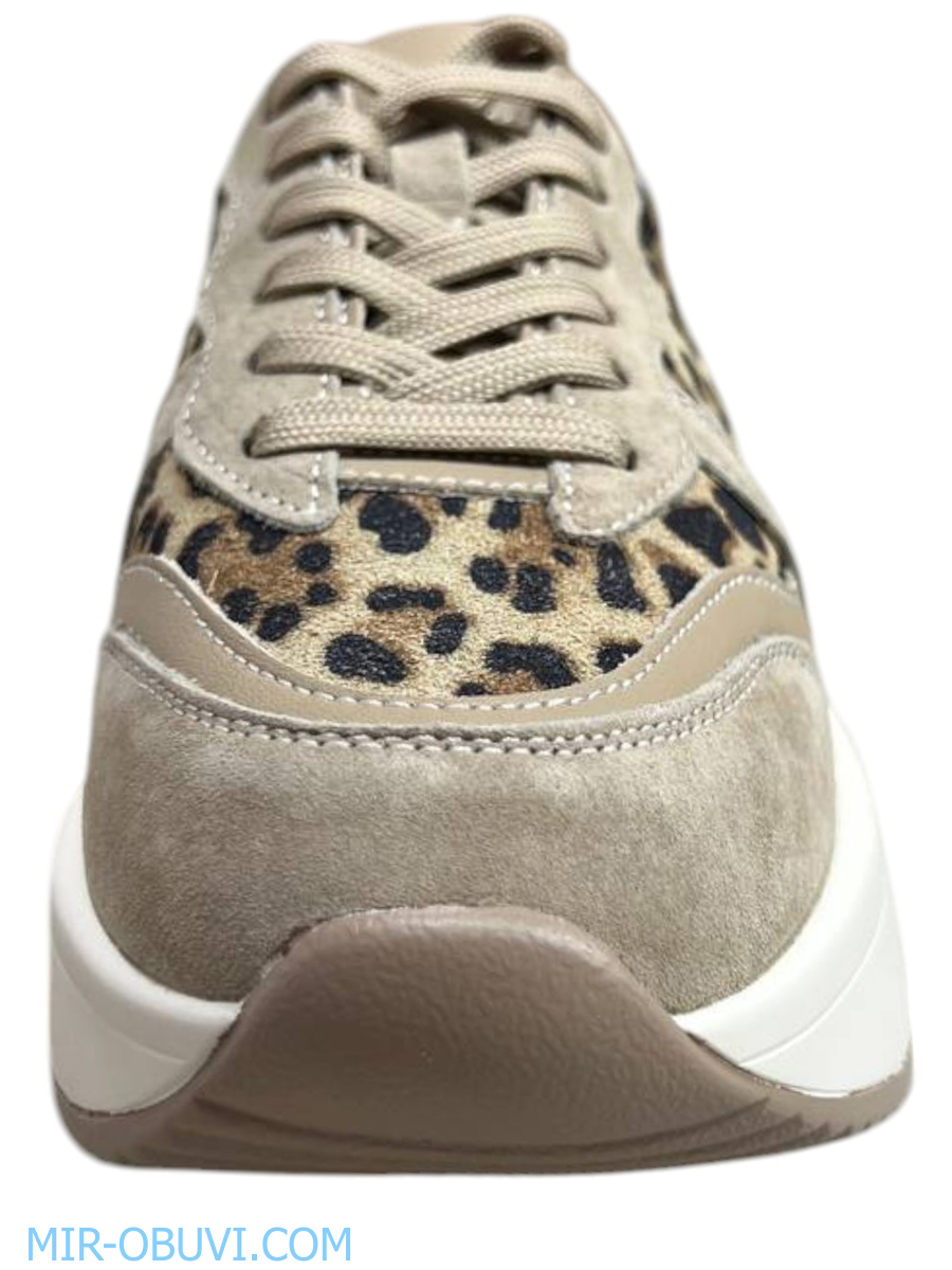 Ƴ���� ���������� ������� Wollen. ��� 9.