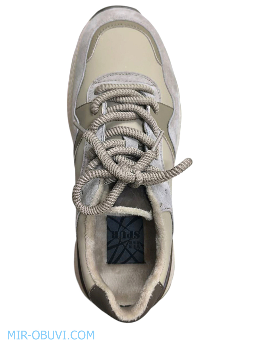 Ƴ���� ���������� ������� Spur. ��� 6.