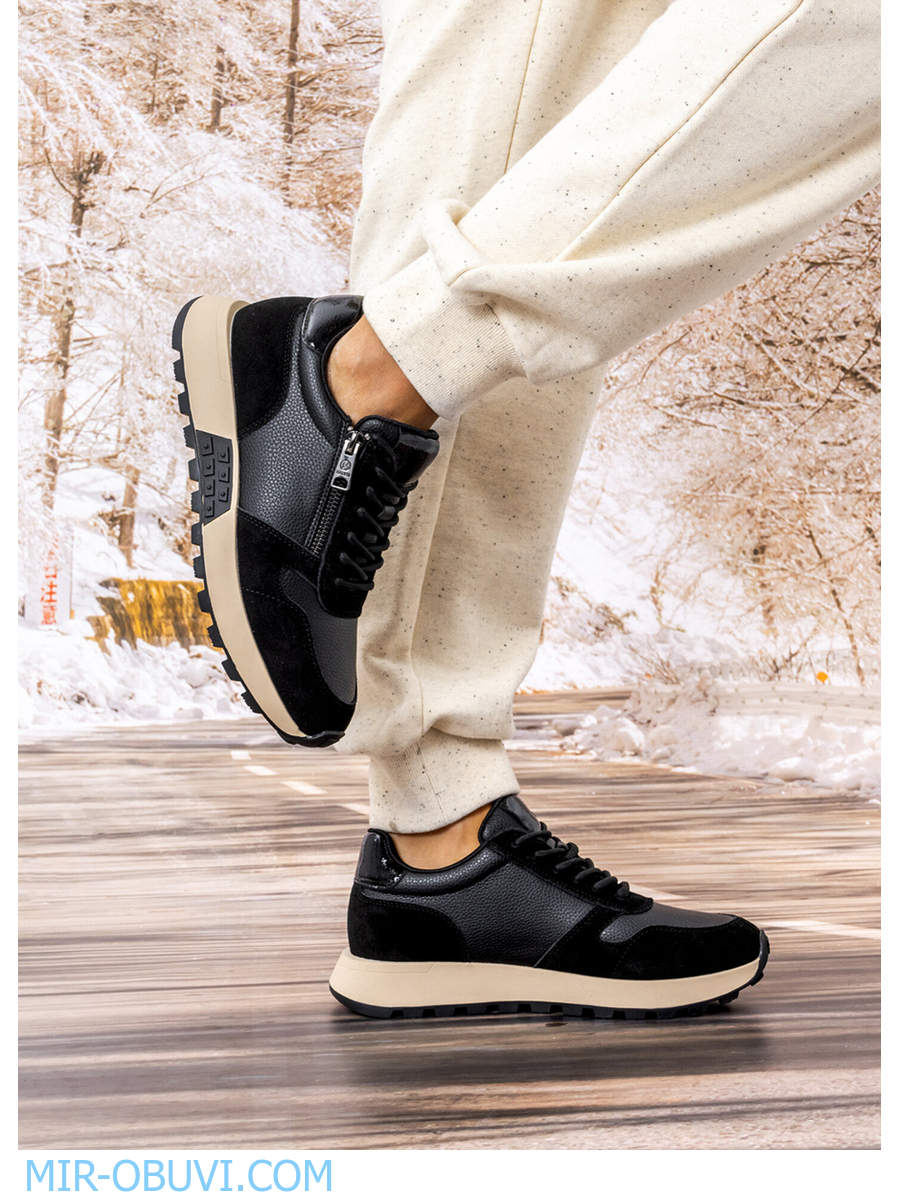 Ƴ���� ���������� ������� Wollen. ��� 17.