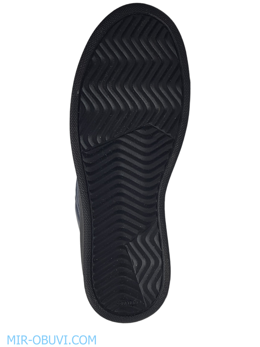 Ƴ���� ���������� ����������� �������� Larsena. ��� 3.