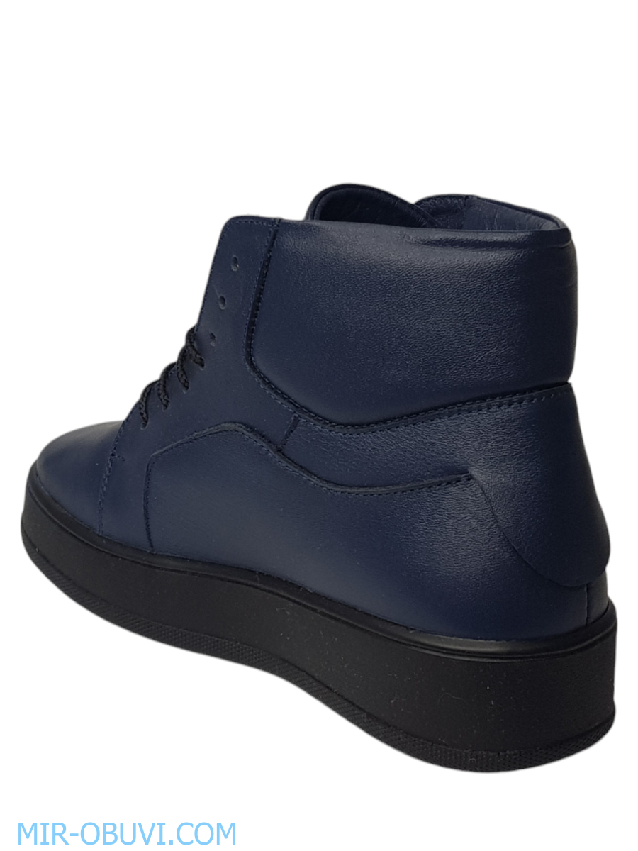 Ƴ���� ���������� ����������� �������� Larsena. ��� 6.