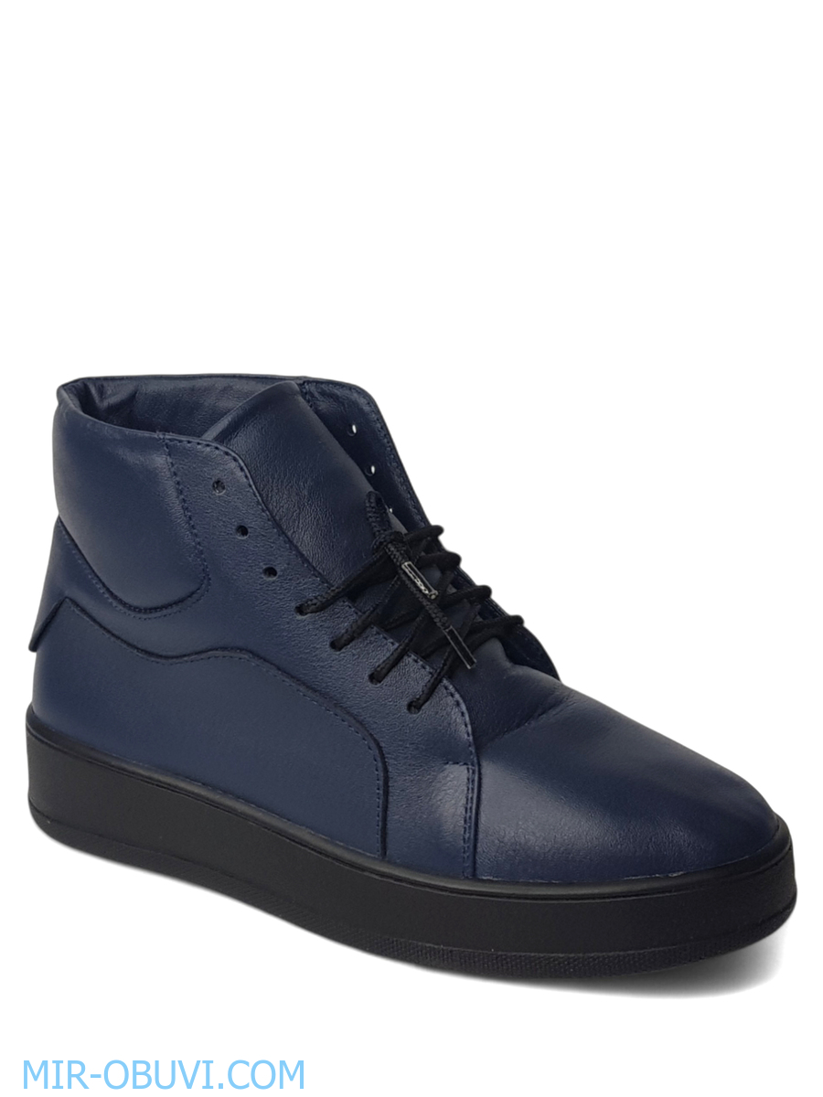 Ƴ���� ���������� ����������� �������� Larsena. ��� 1.