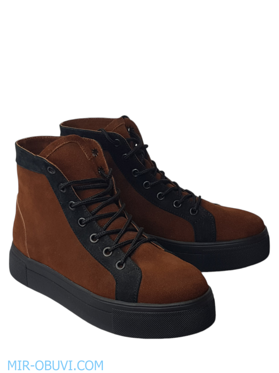 Ƴ���� ���������� ����������� �������� Larsena. ��� 2.