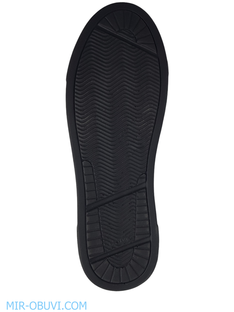 Ƴ���� ���������� ����������� �������� Larsena. ��� 3.