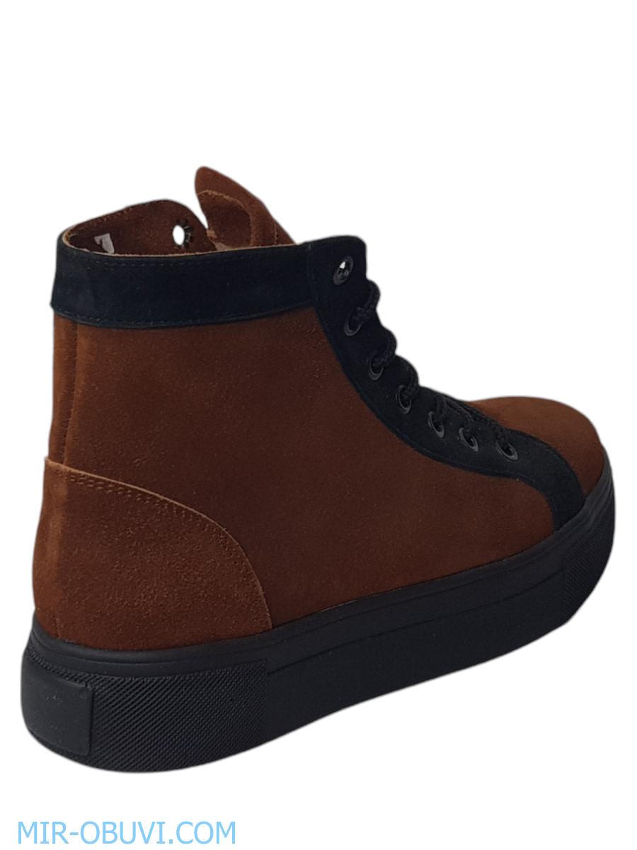 Ƴ���� ���������� ����������� �������� Larsena. ��� 5.