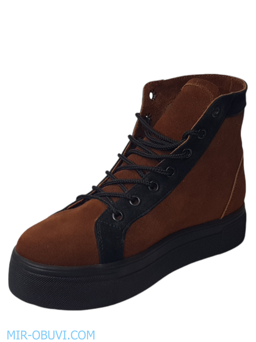 Ƴ���� ���������� ����������� �������� Larsena. ��� 8.