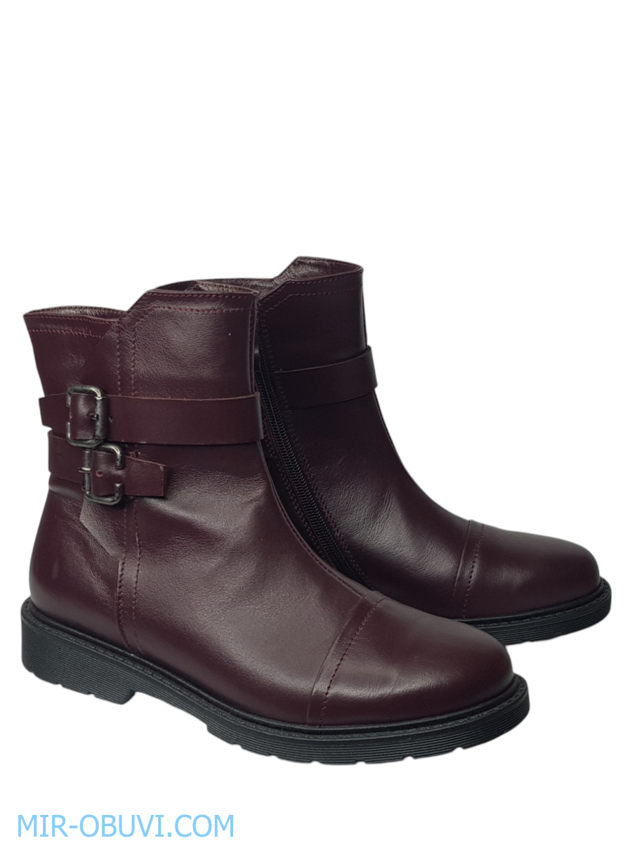 Ƴ���� ���������� ���������� Larsena. ��� 2.