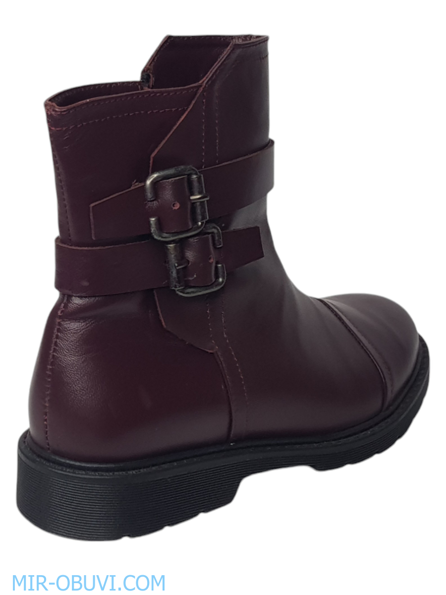 Ƴ���� ���������� ���������� Larsena. ��� 4.