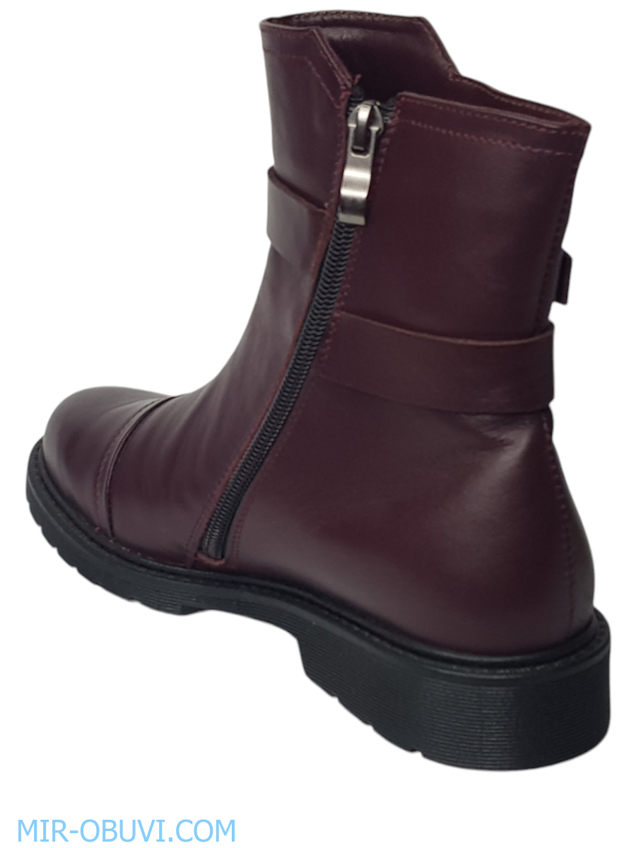 Ƴ���� ���������� ���������� Larsena. ��� 5.