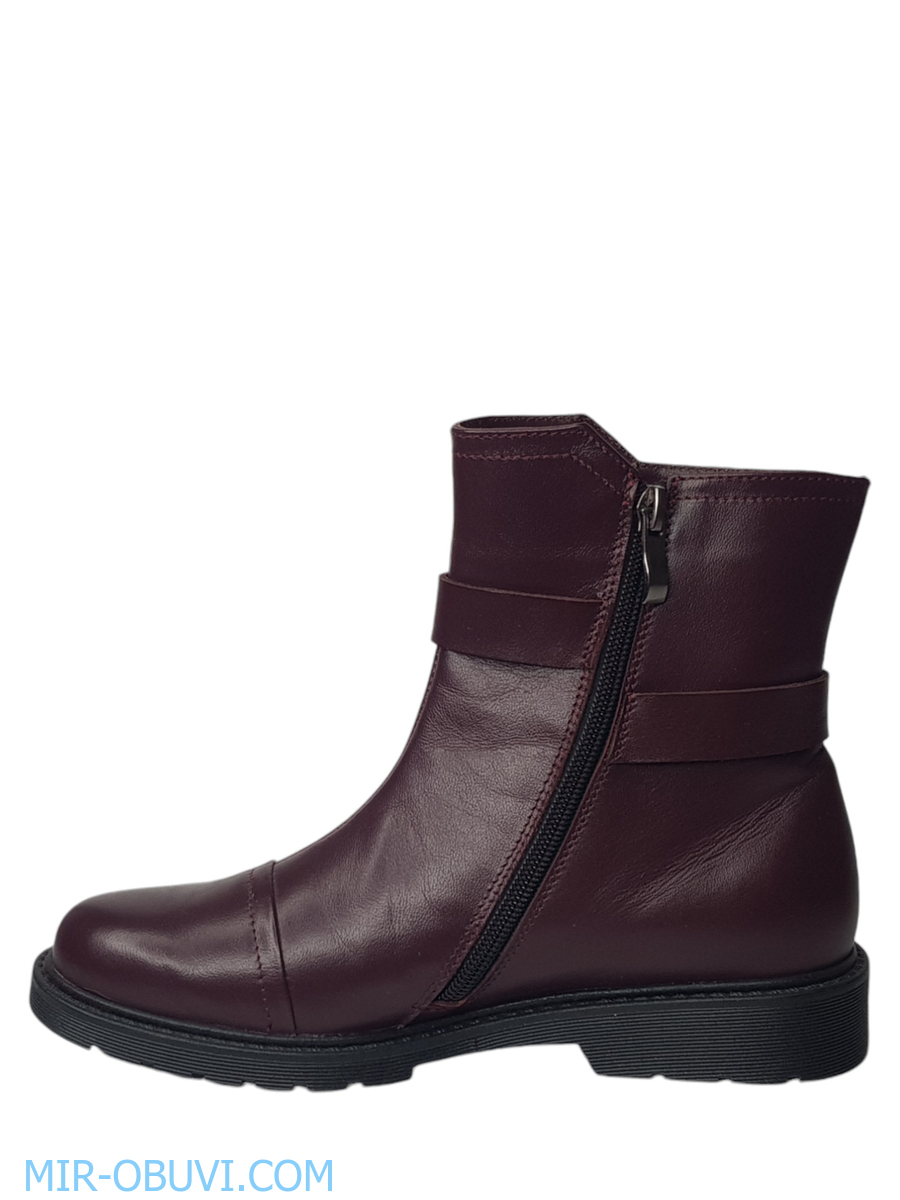 Ƴ���� ���������� ���������� Larsena. ��� 6.