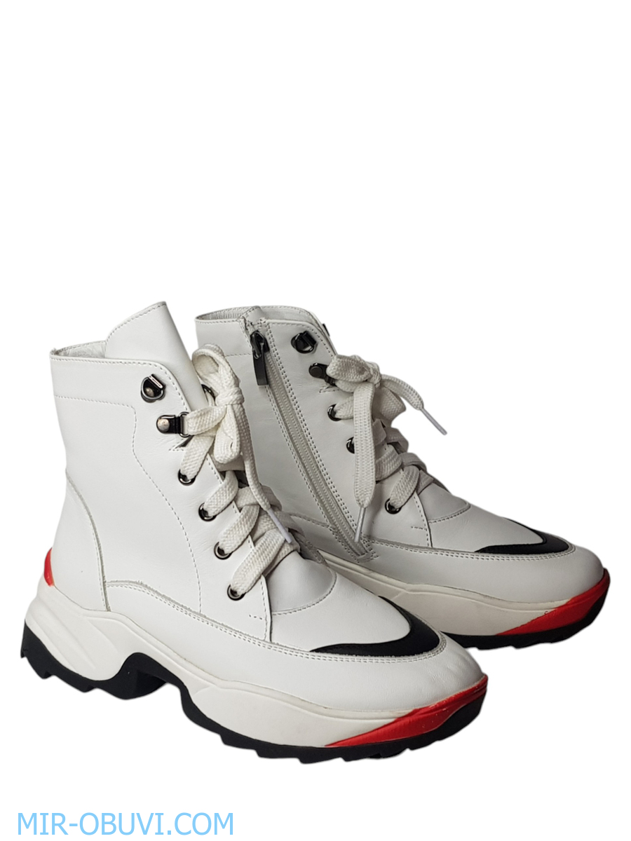 Ƴ���� ���������� ����������� �������� Larsena. ��� 2.