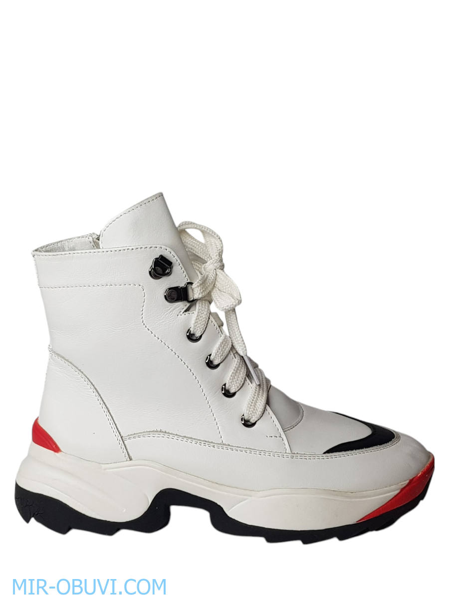 Ƴ���� ���������� ����������� �������� Larsena. ��� 3.