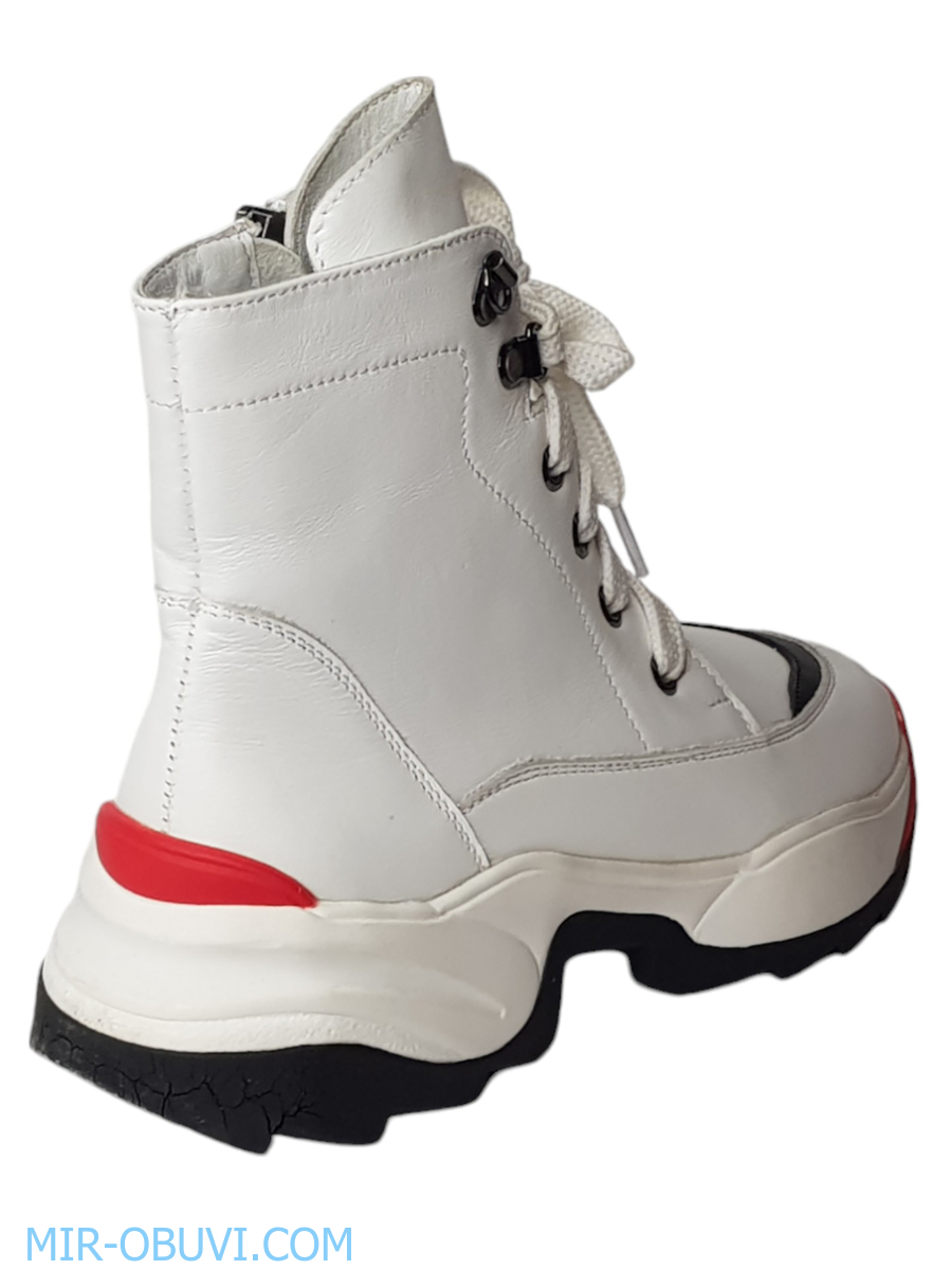 Ƴ���� ���������� ����������� �������� Larsena. ��� 4.