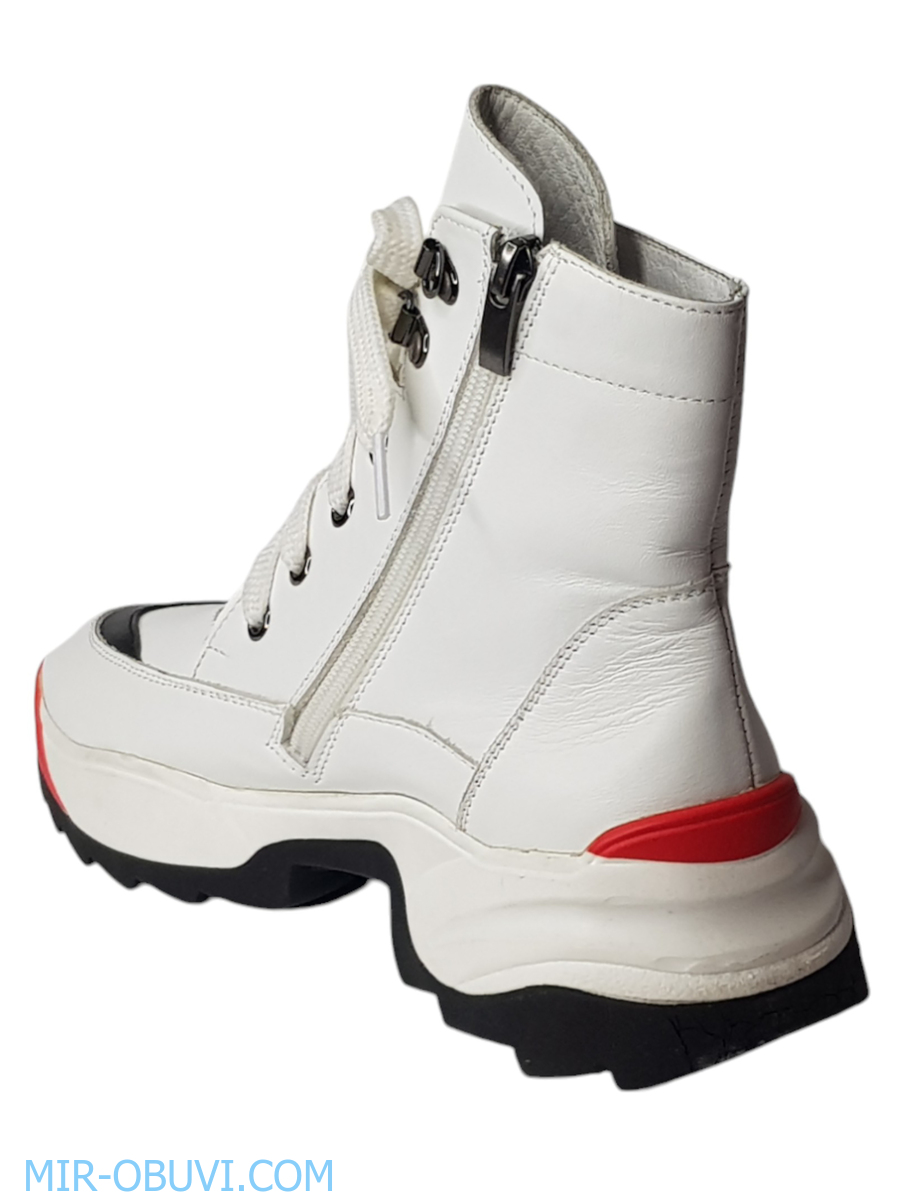 Ƴ���� ���������� ����������� �������� Larsena. ��� 5.