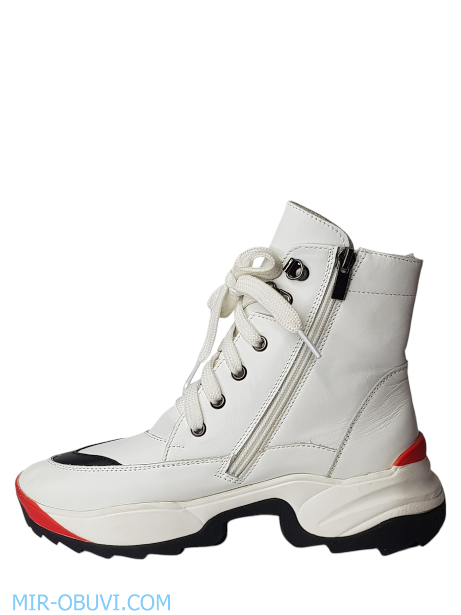 Ƴ���� ���������� ����������� �������� Larsena. ��� 6.