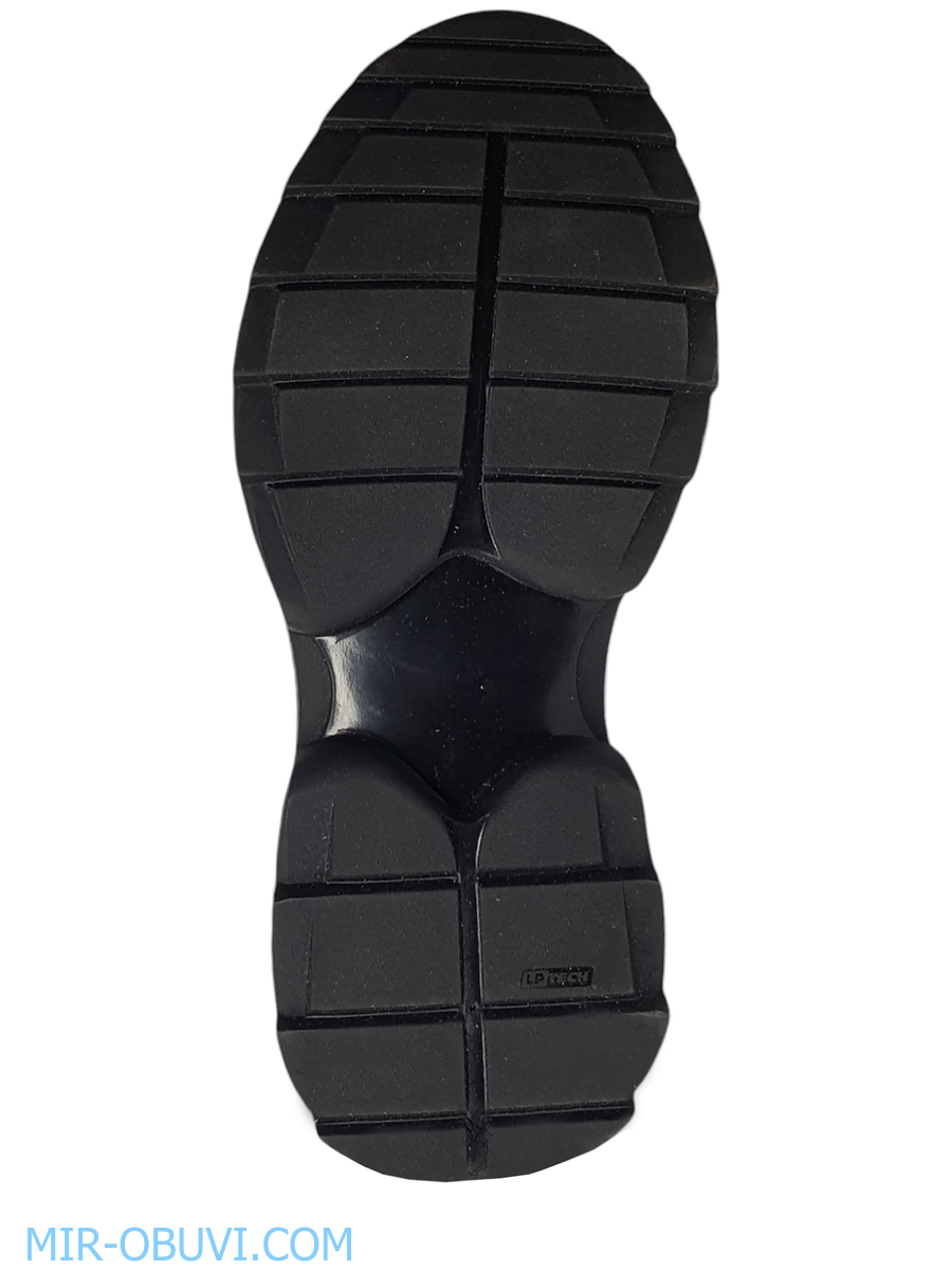 Ƴ���� ���������� ����������� �������� Larsena. ��� 8.