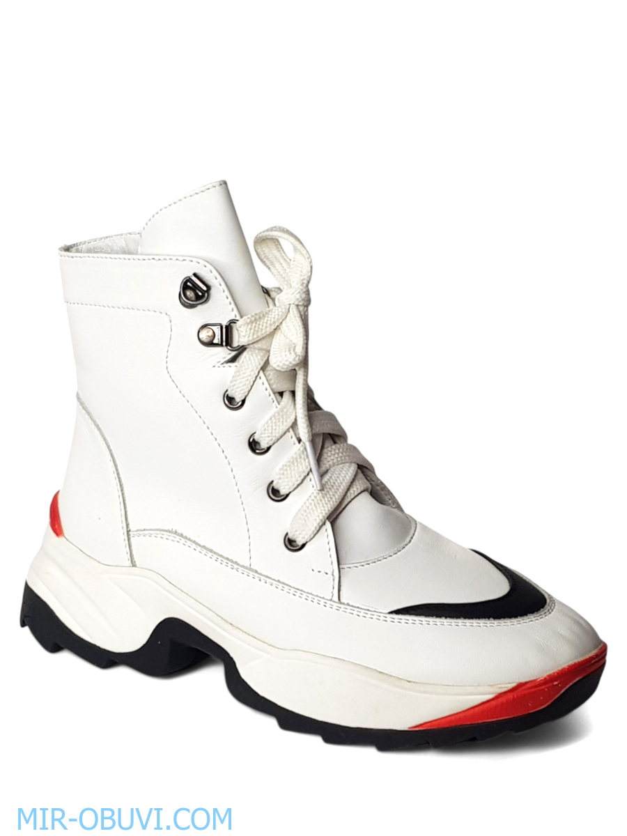 Ƴ���� ���������� ����������� �������� Larsena. ��� 1.