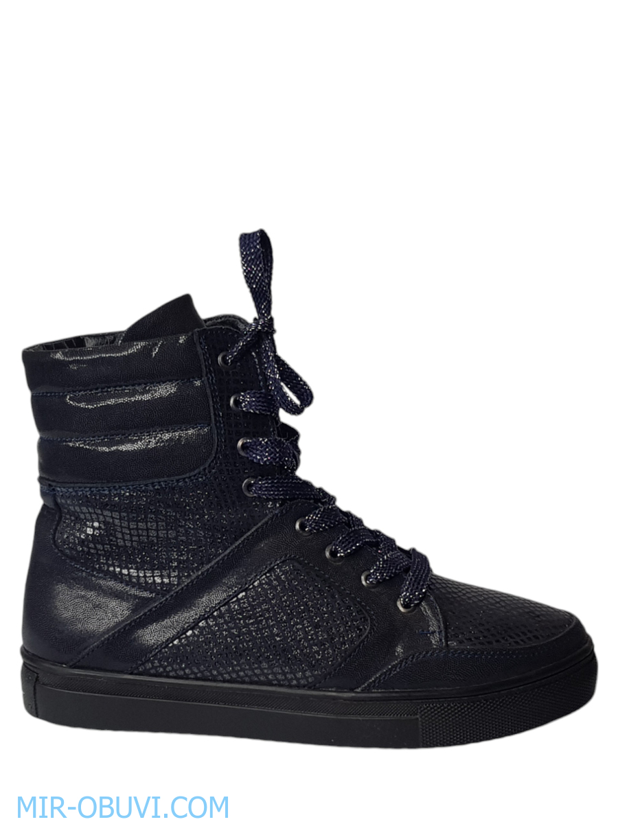 Ƴ���� ���������� ��������� �������� Larsena. ��� 3.