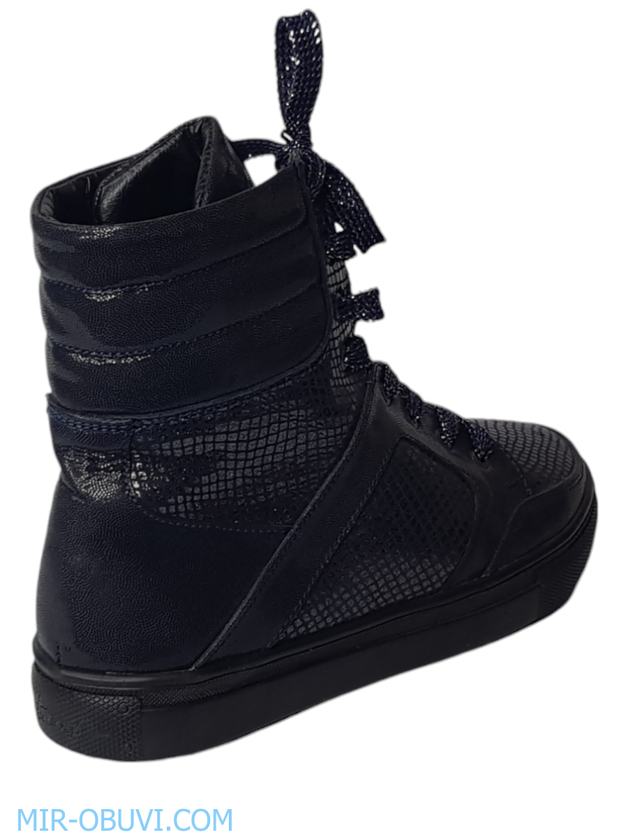 Ƴ���� ���������� ��������� �������� Larsena. ��� 4.