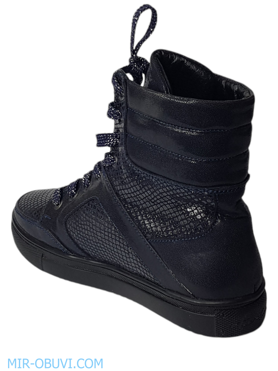 Ƴ���� ���������� ��������� �������� Larsena. ��� 5.