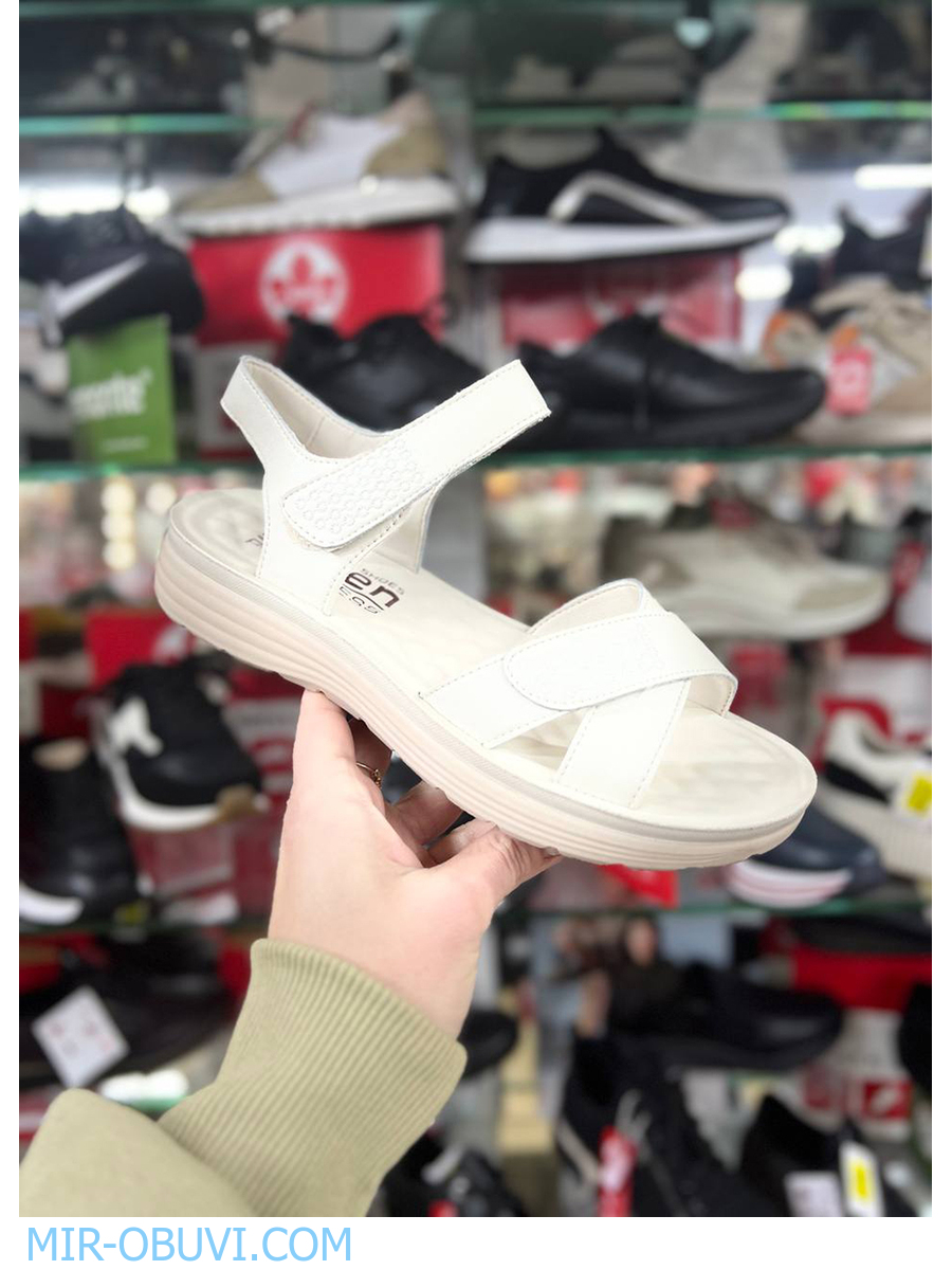 Ƴ���� ���� �����볿 Wollen. ��� 13.