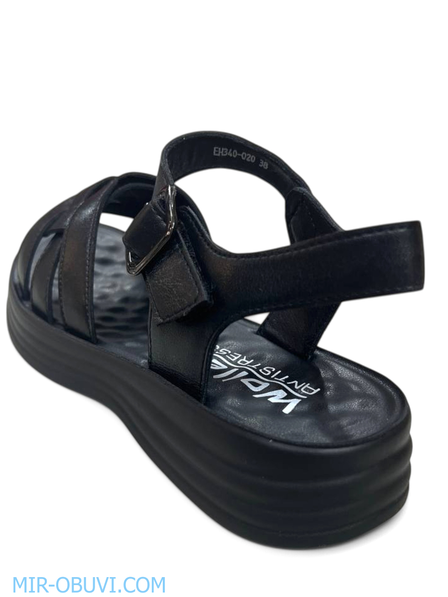 Ƴ���� ���� ��������� Wollen. ��� 2.