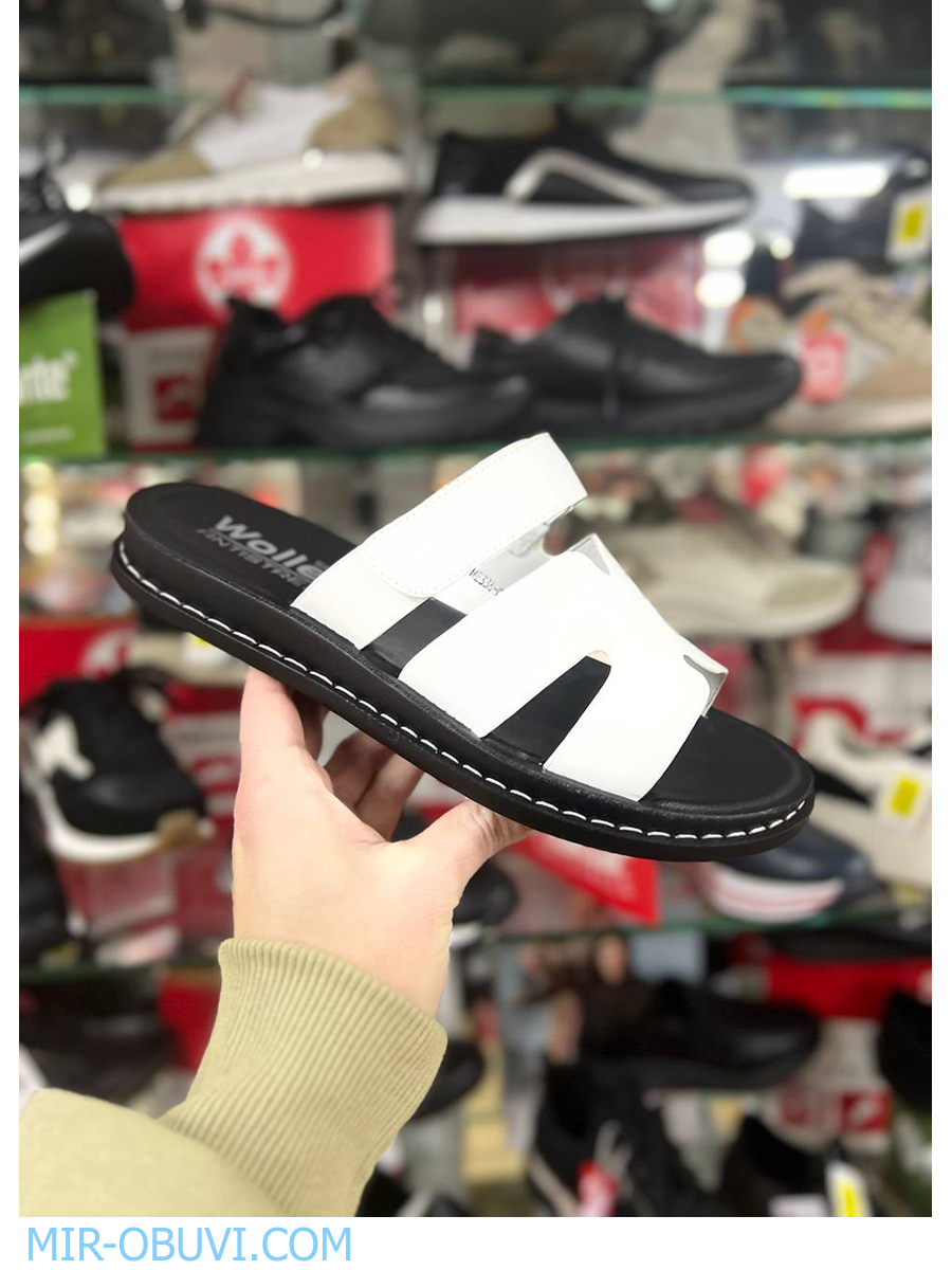 Ƴ���� ���� ��������� Wollen. ��� 13.