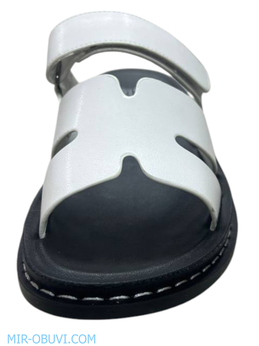 Ƴ���� ���� ��������� Wollen. ��� 2.