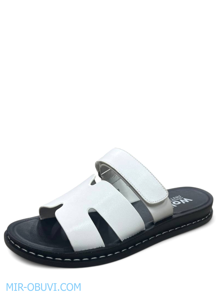 Ƴ���� ���� ��������� Wollen. ��� 3.