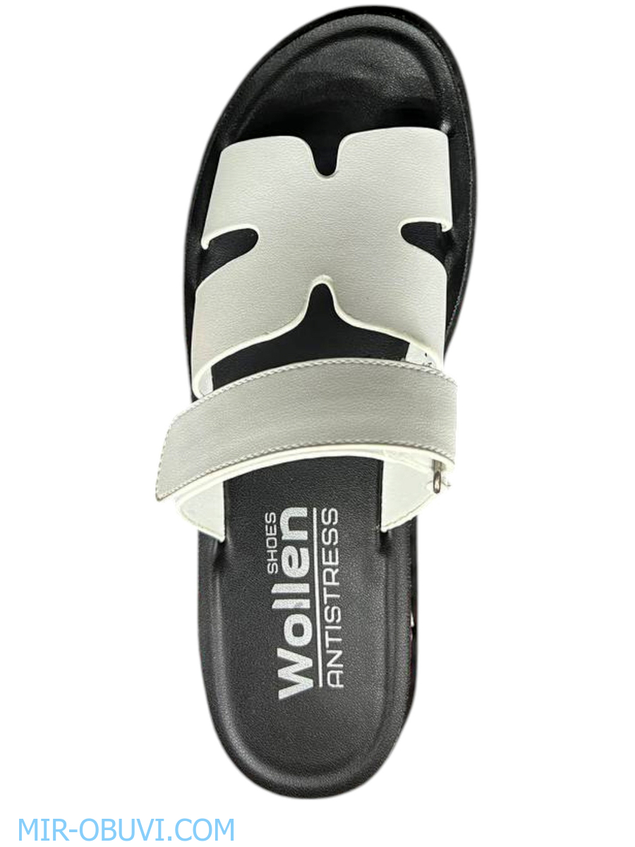 Ƴ���� ���� ��������� Wollen. ��� 6.