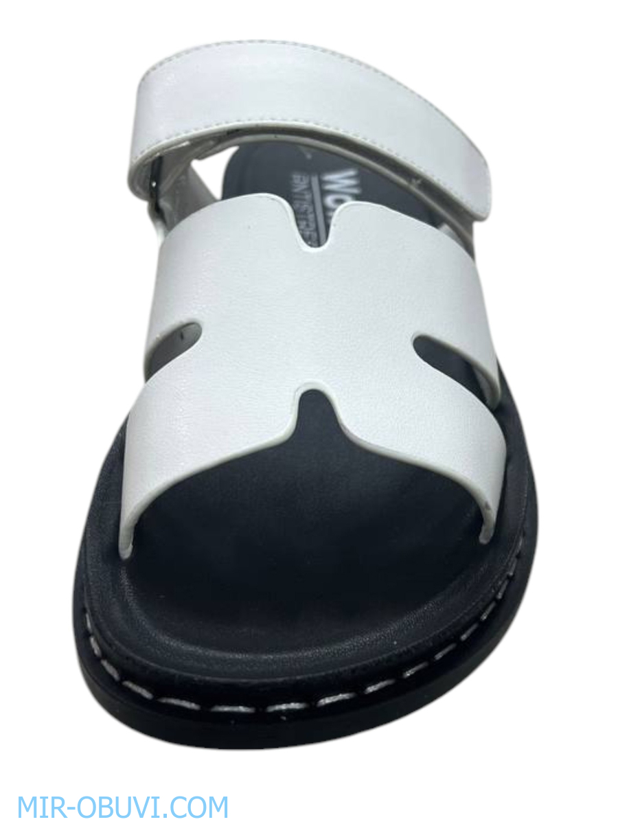 Ƴ���� ���� ��������� Wollen. ��� 9.