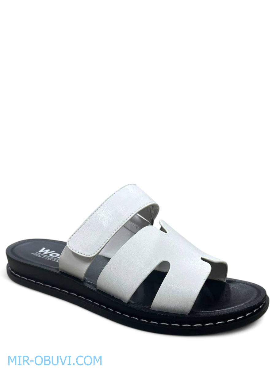 Ƴ���� ���� ��������� Wollen. ��� 1.