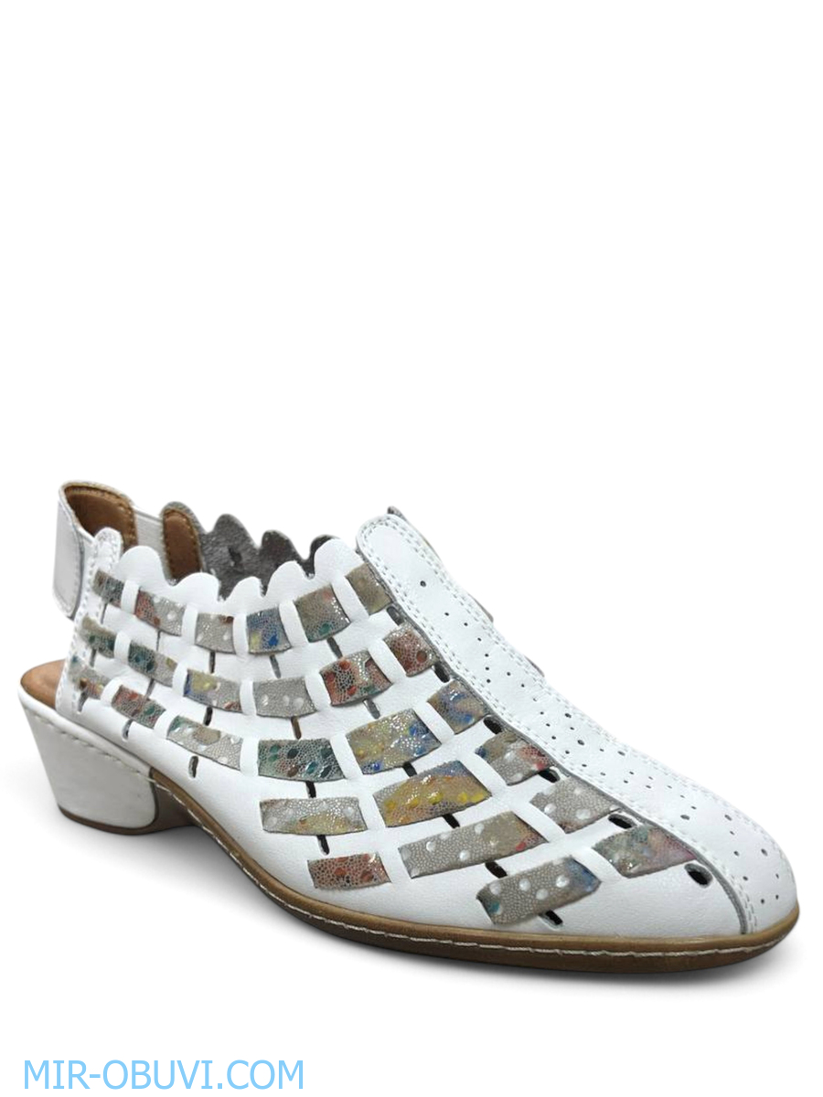 Ƴ���� ���� ��������� Wollen. ��� 1.