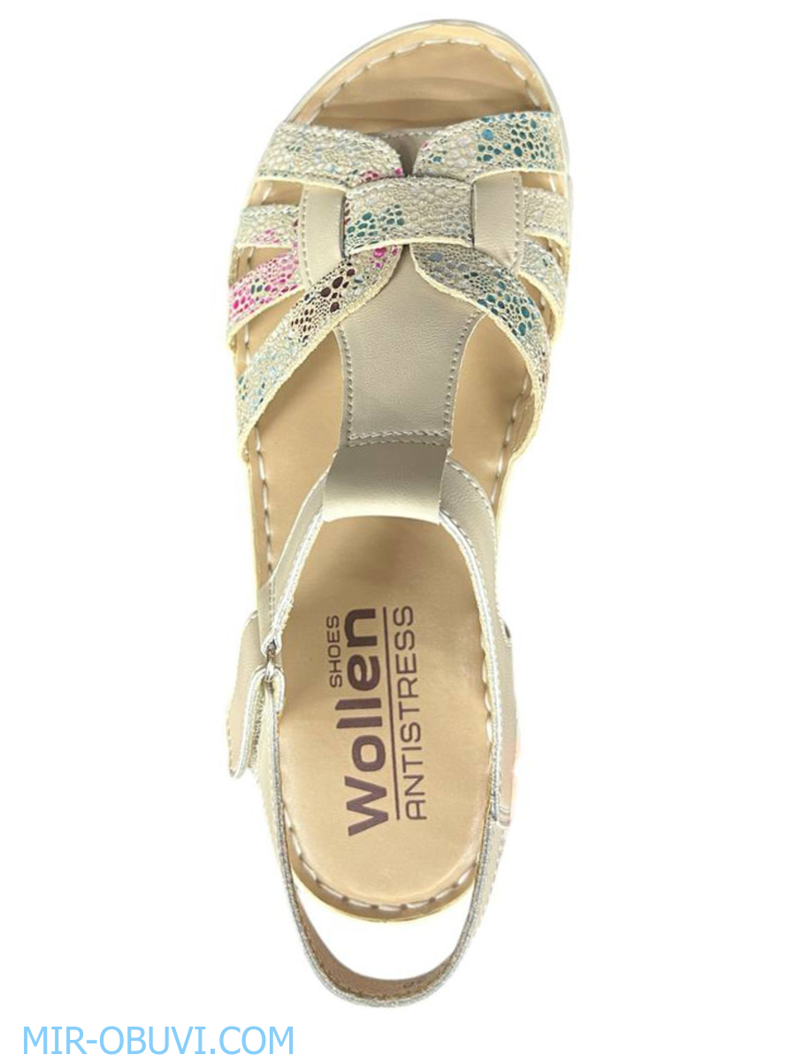 Ƴ���� ���� ��������� Wollen. ��� 6.