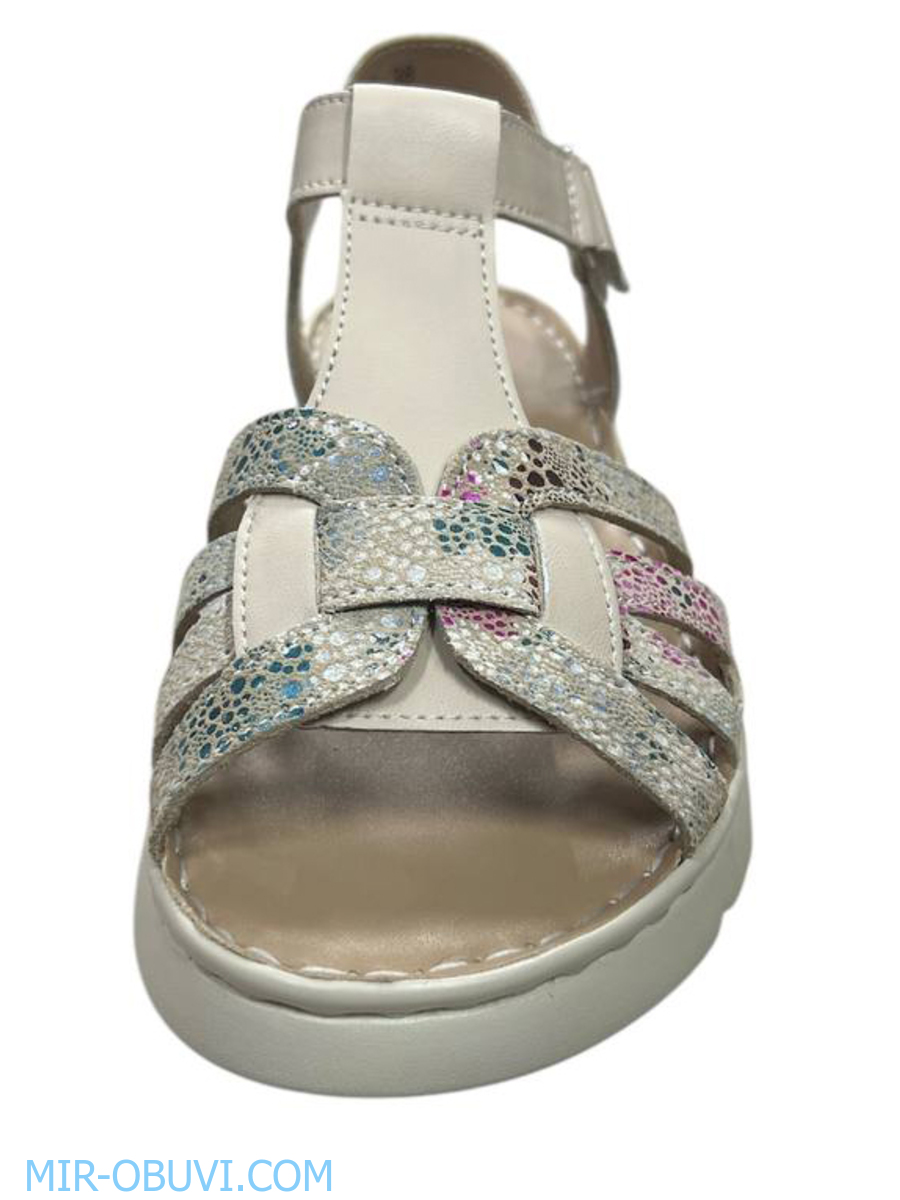 Ƴ���� ���� ��������� Wollen. ��� 9.