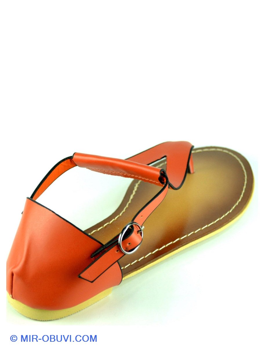 Ƴ���� ���� �����볿 Carini. ��� 3.