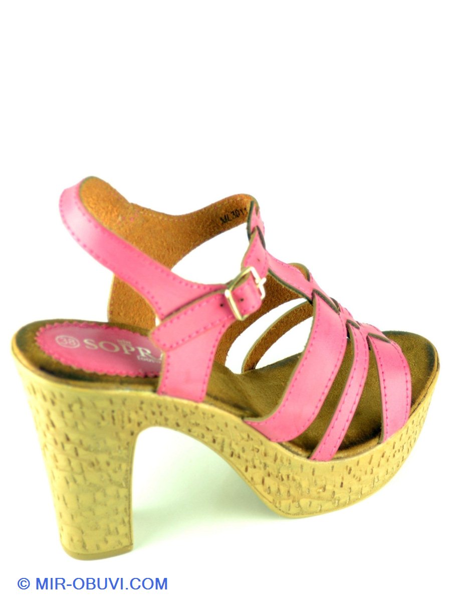 Ƴ���� ���� ��������� Sopra. ��� 3.