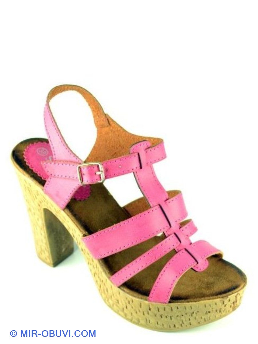 Ƴ���� ���� ��������� Sopra. ��� 1.