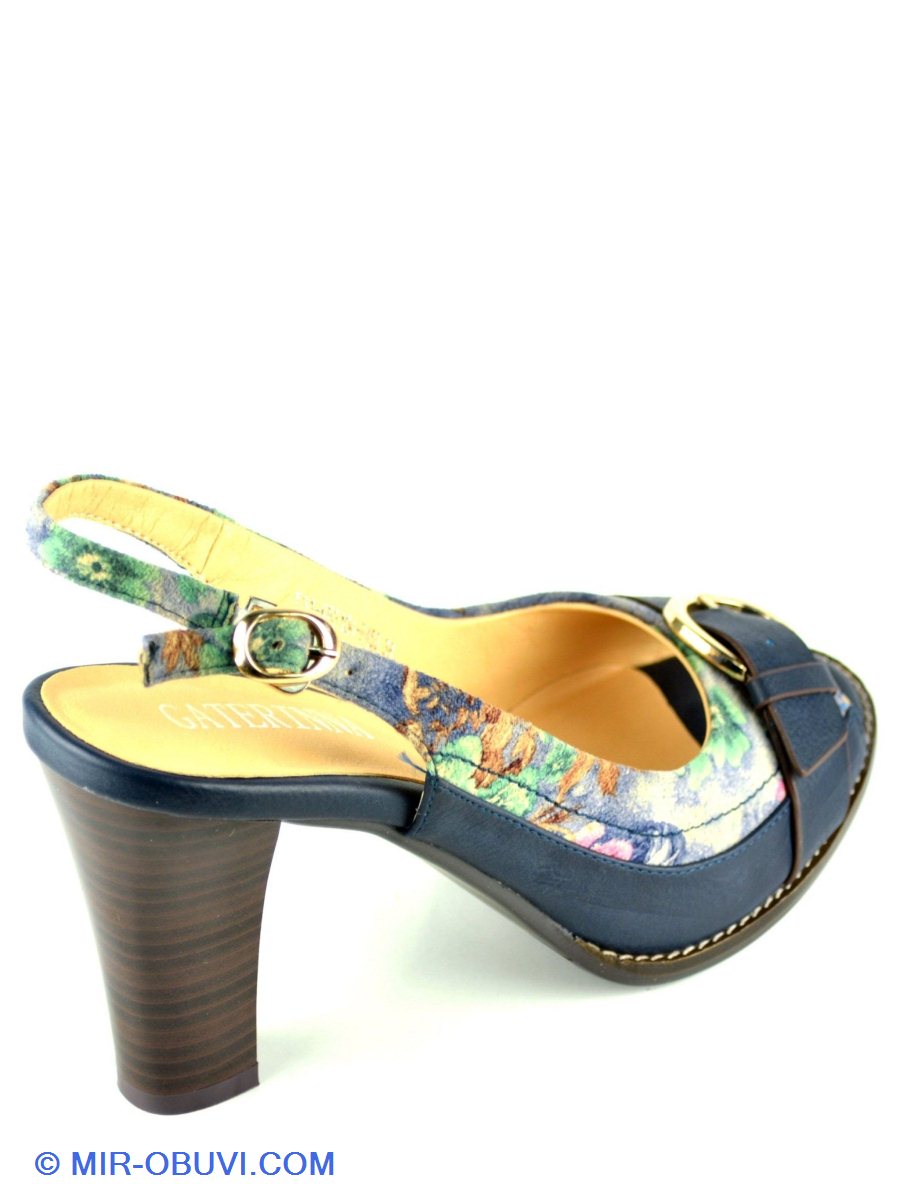 Ƴ���� ���� �������� ��������� Gaterinna. ��� 3.