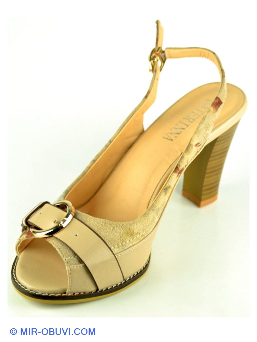 Ƴ���� ���� �������� ��������� Gaterinna. ��� 2.