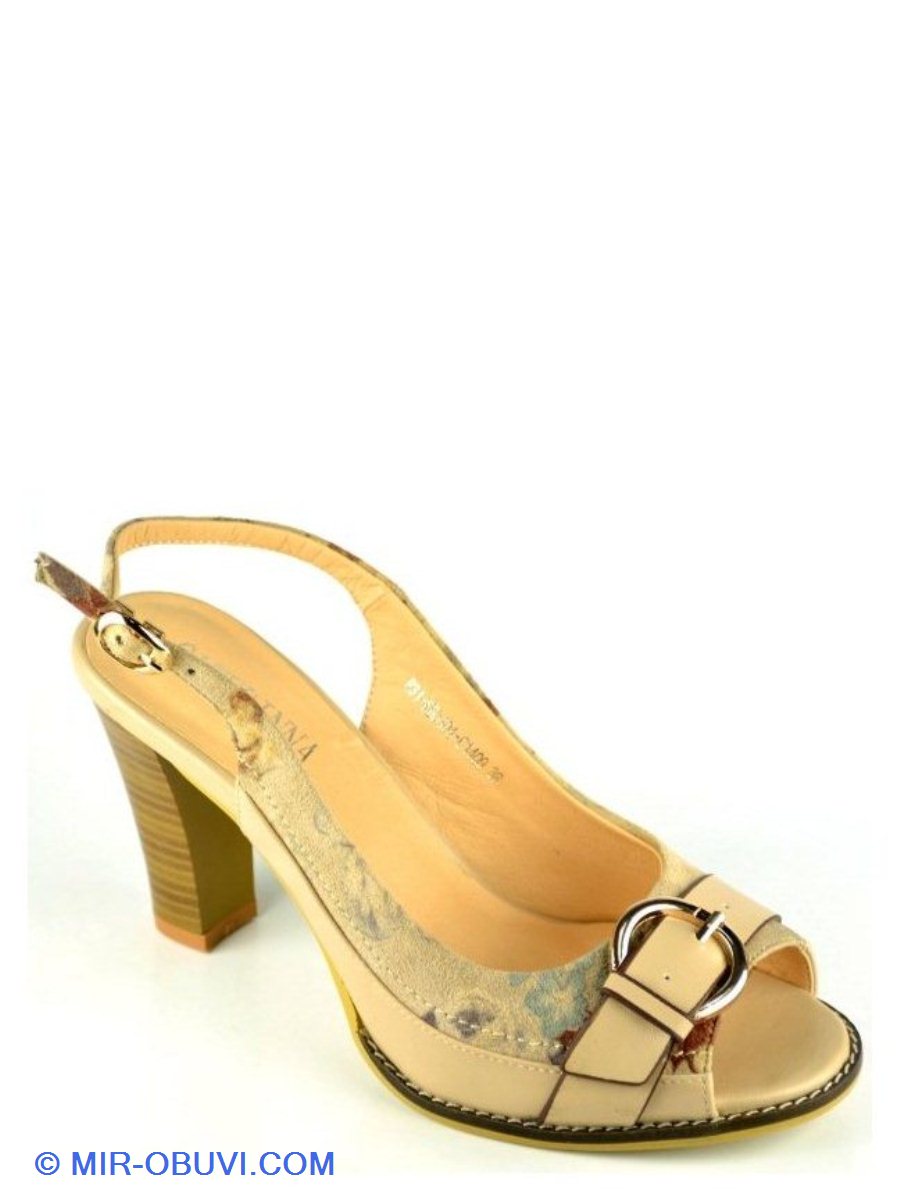 Ƴ���� ���� �������� ��������� Gaterinna. ��� 1.