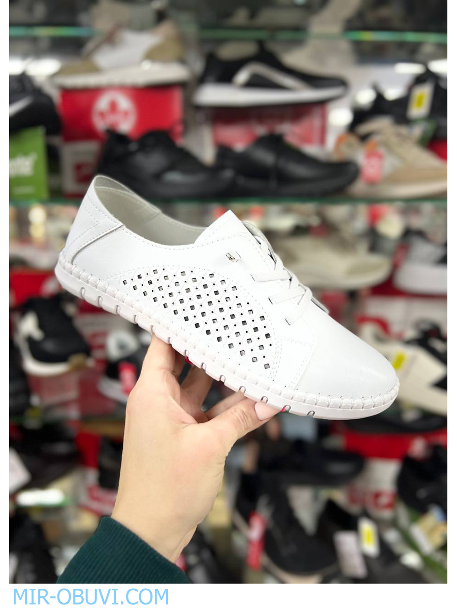 Ƴ���� ������� ���� Wollen. ��� 14.