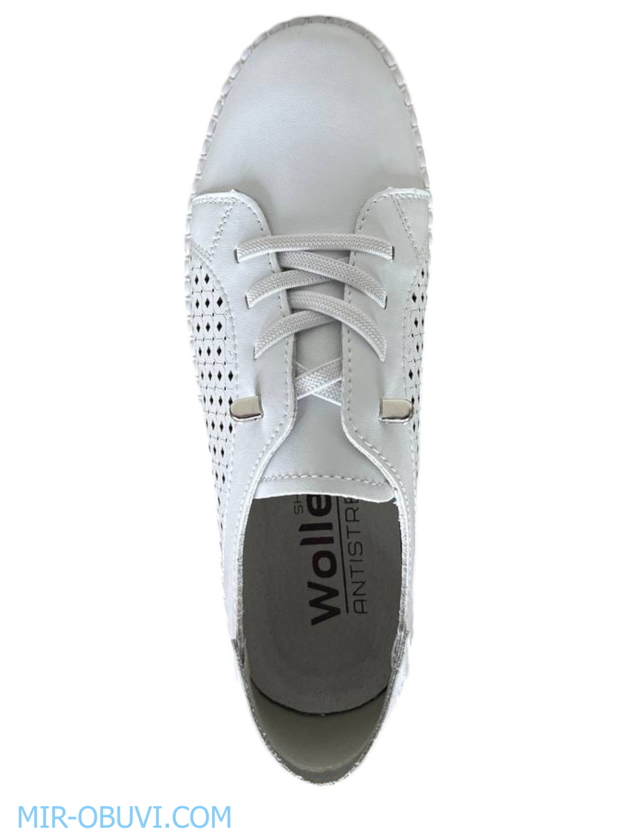 Ƴ���� ������� ���� Wollen. ��� 6.