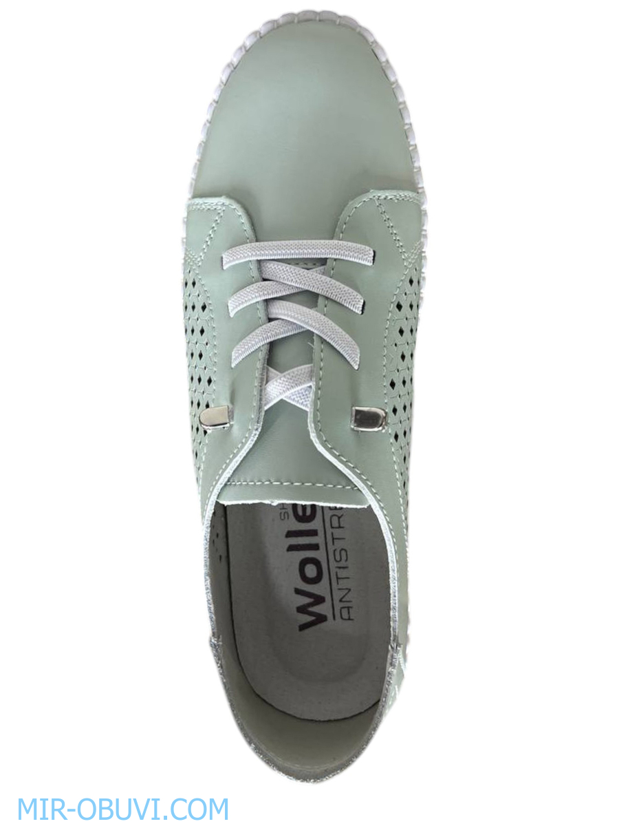 Ƴ���� ������� ���� Wollen. ��� 6.