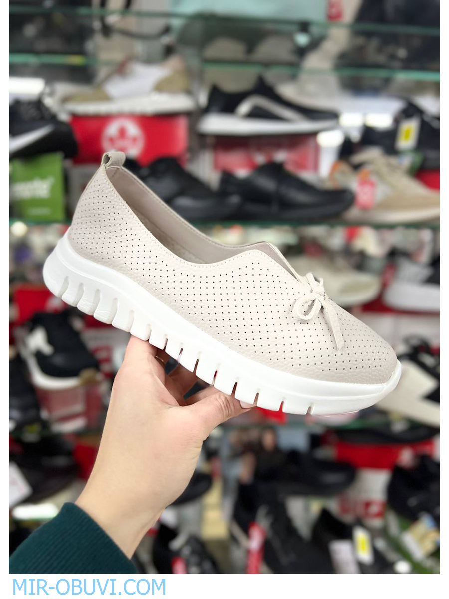 Ƴ���� ������� ������ Wollen. ��� 14.