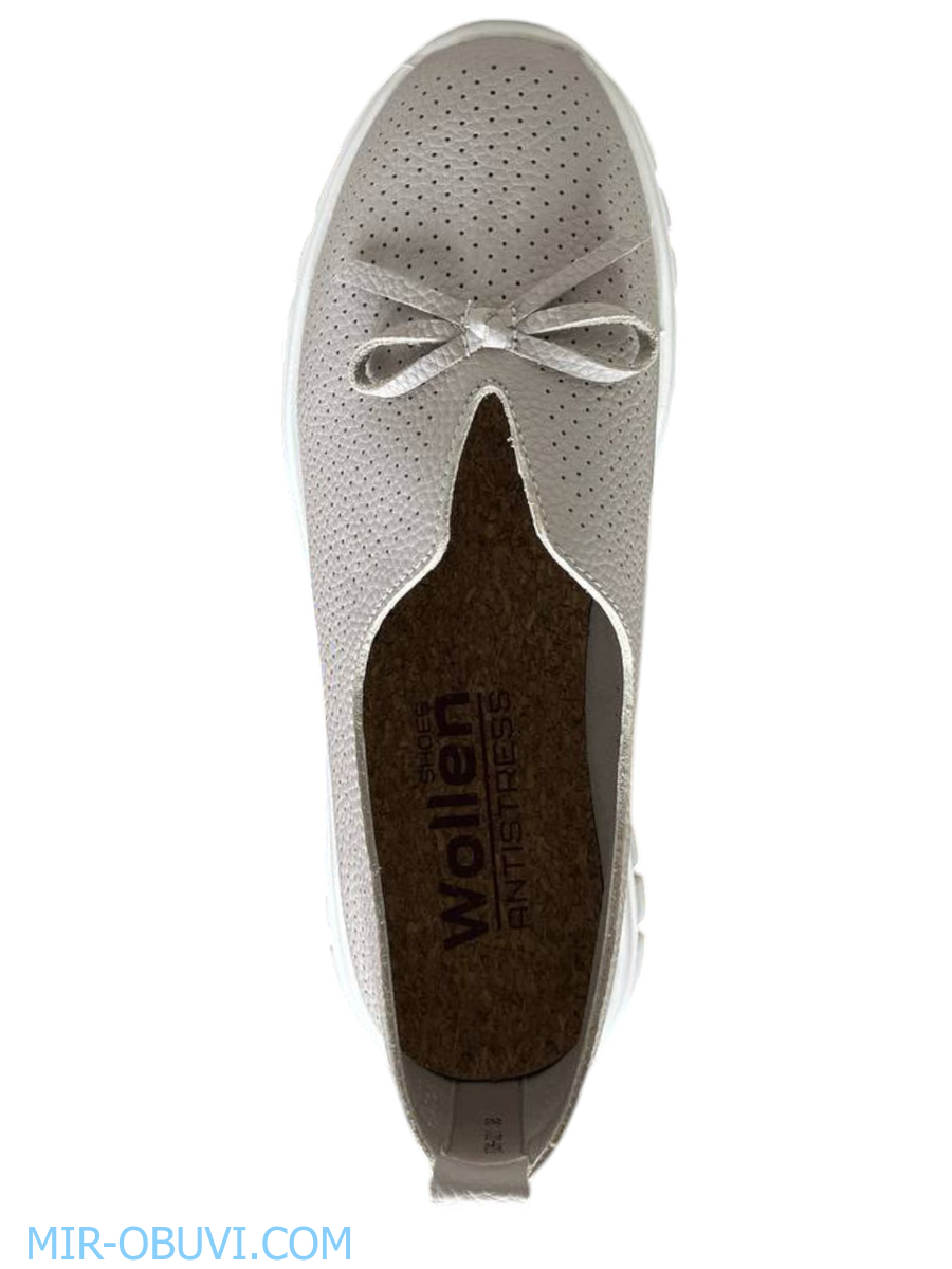 Ƴ���� ������� ������ Wollen. ��� 6.