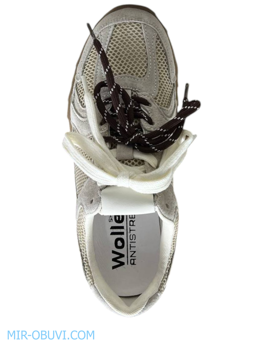 Ƴ���� ������� ������� Wollen. ��� 6.