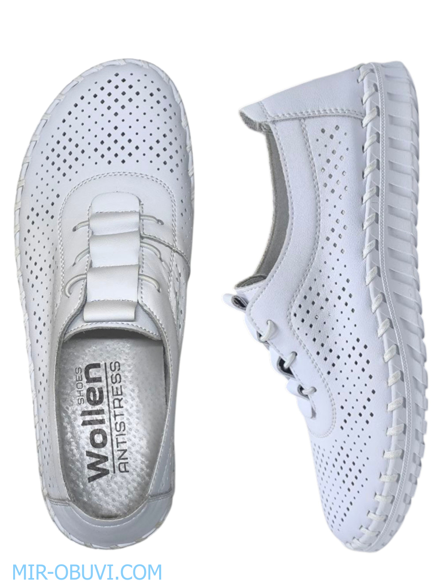 Ƴ���� ������� �������� Wollen. ��� 2.